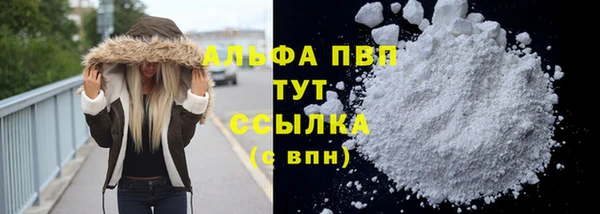 герыч Бородино