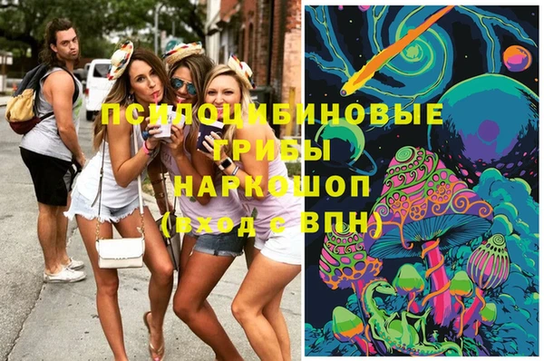герыч Бородино