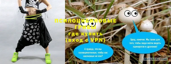 герыч Бородино