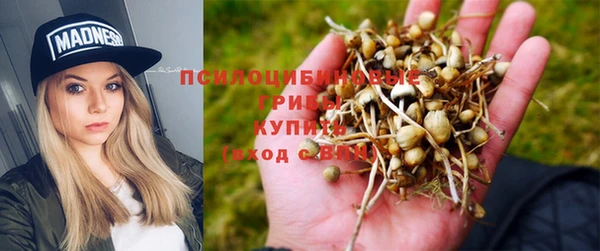 стафф Бугульма