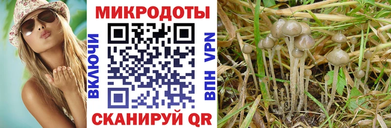 Псилоцибиновые грибы Psilocybe  купить наркотики сайты  Кимовск 